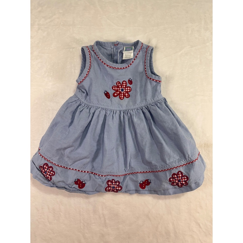 Little Me Sleeveless Dress 6M Blue Strawberry Flower Gingham Trim Baby Girls